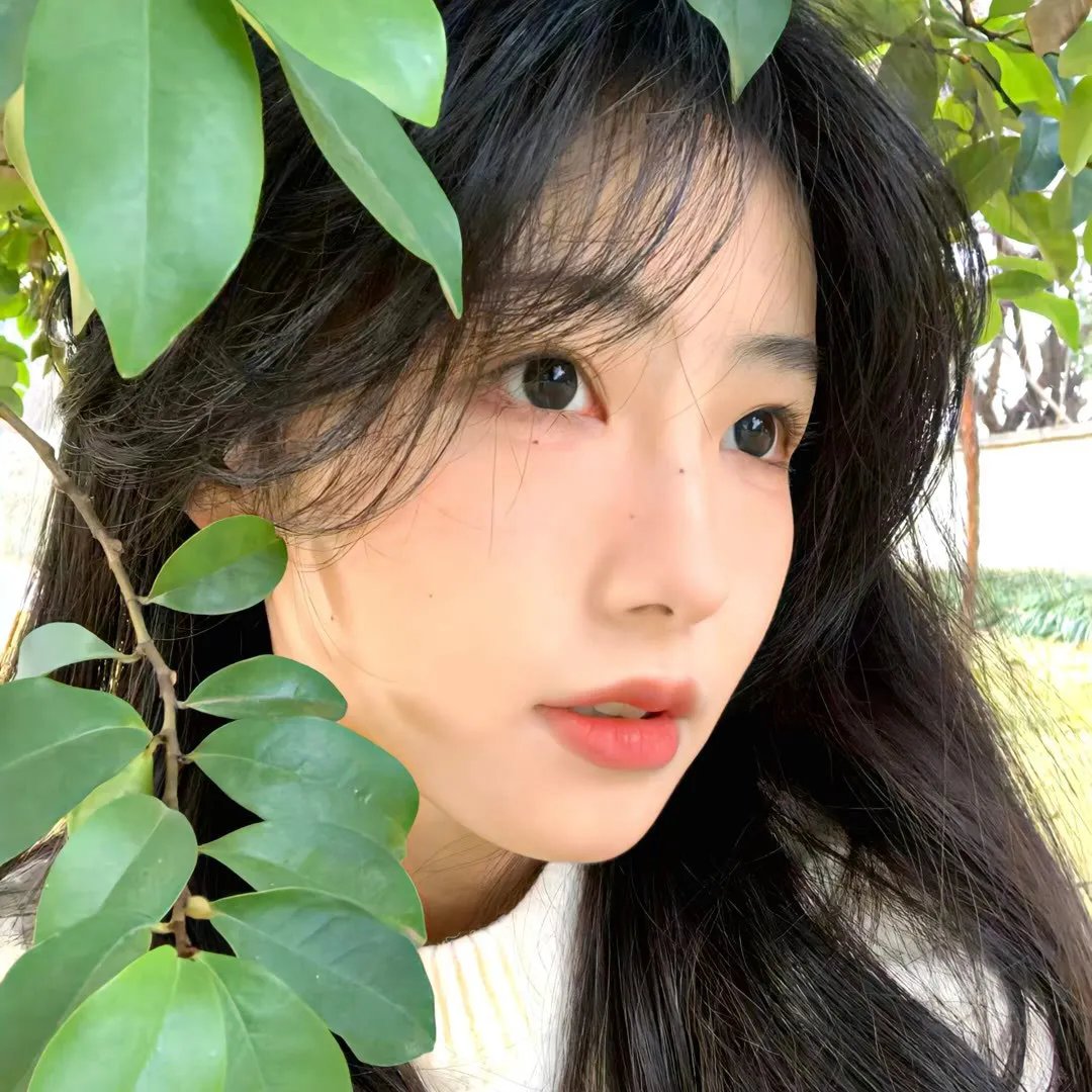 沐羽录